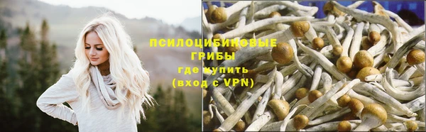 шишки Алзамай