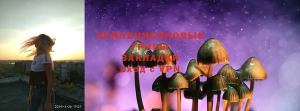 шишки Алзамай