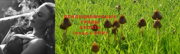 MDMA Premium VHQ Алексеевка