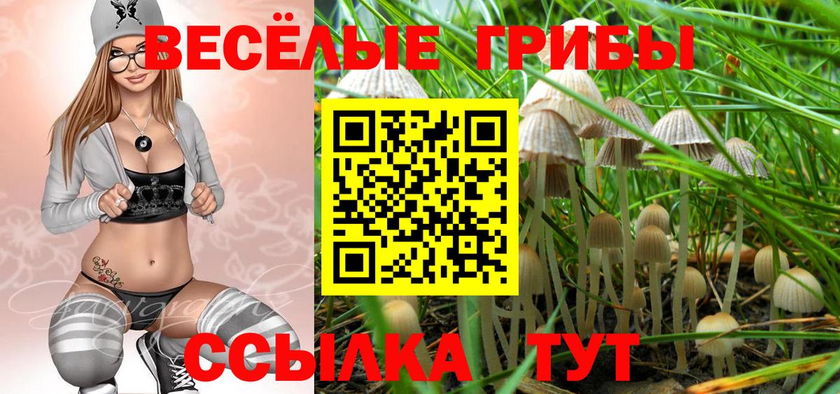Галлюциногенные грибы Magic Shrooms Елабуга